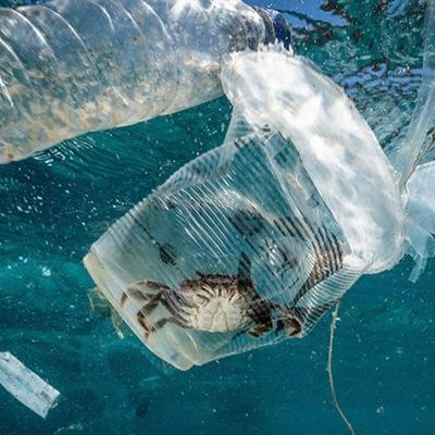 土および水Ulのテスト ラボの教育の生物的汚染の権限の第三者の認証サービス