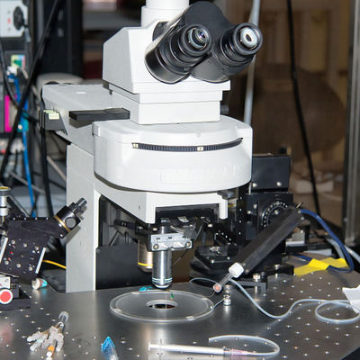 セリウムの印のIntertekのテスト ラボの電動歯ブラシの第三者の認証サービス