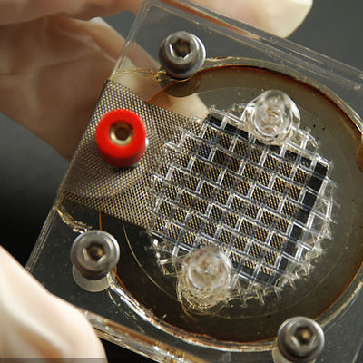 雌ジカFccのセリウムの証明の実験室の電磁適合性ポップコーン機械第三者の認証サービス