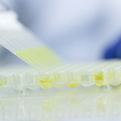 食糧ガラスのテスト ラボ サービスFDAは実験室の第三者の認証サービスをみなした